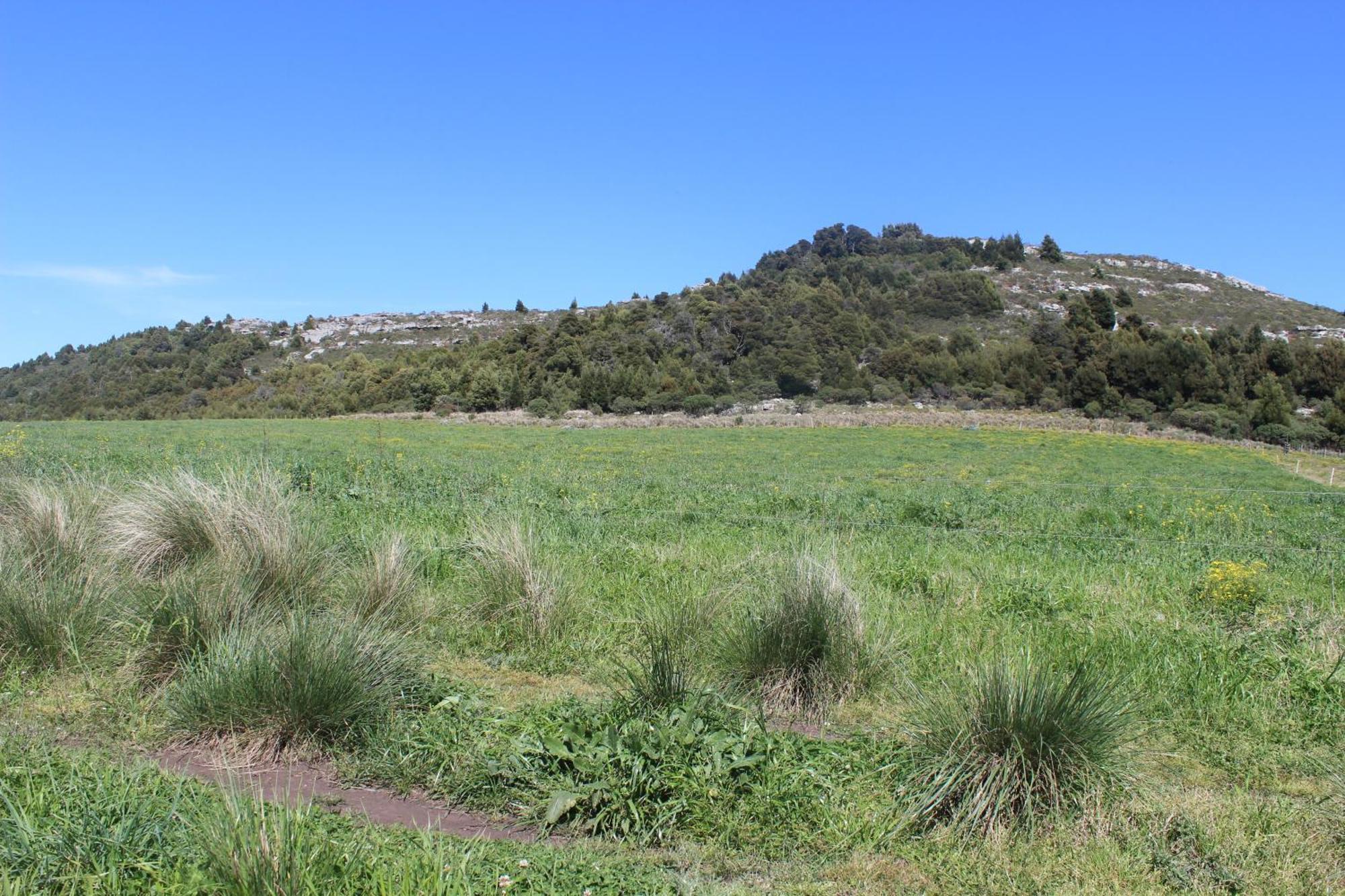Chalet En Reserva Natural Paititi Sierra de los Padres Εξωτερικό φωτογραφία
