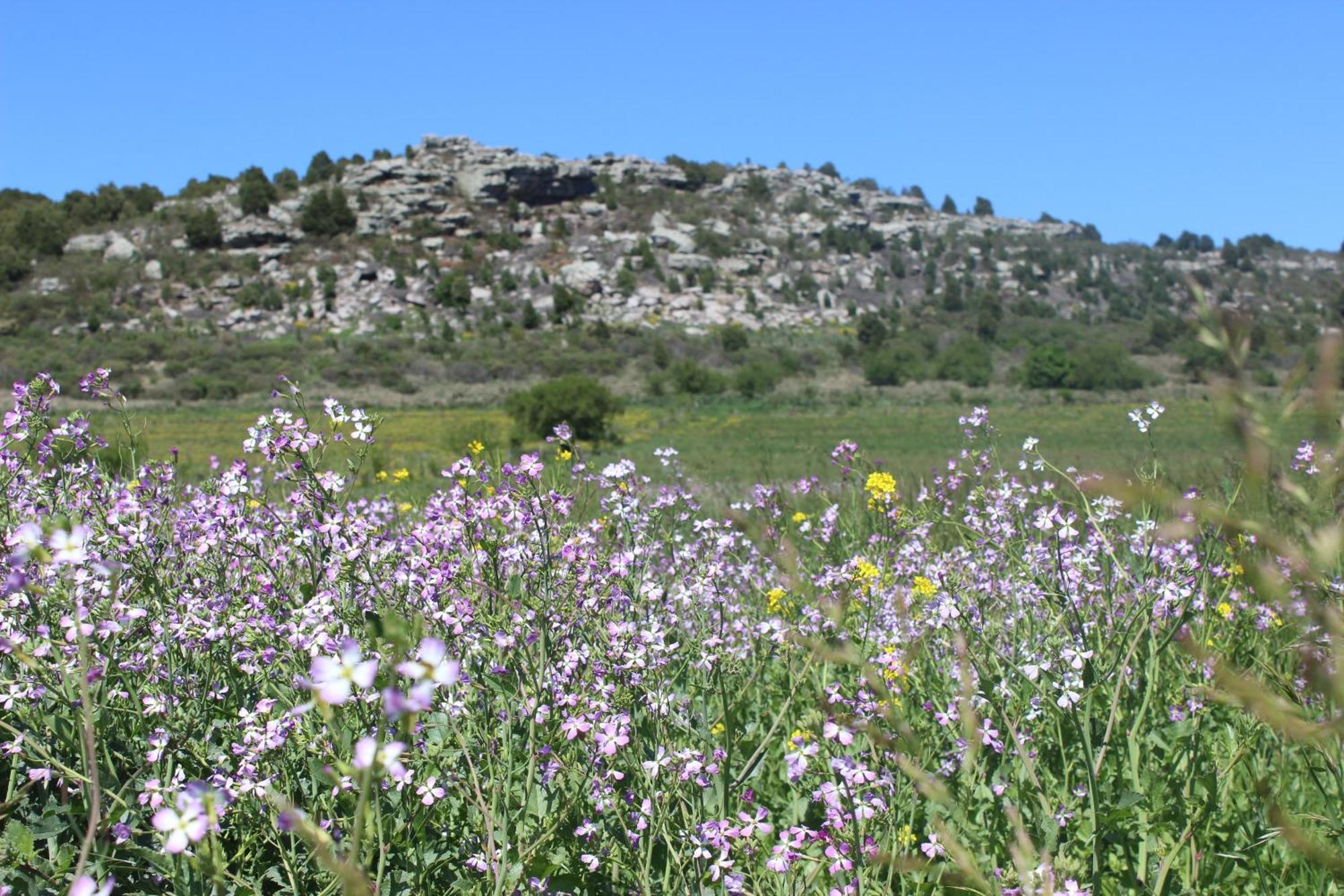 Chalet En Reserva Natural Paititi Sierra de los Padres Εξωτερικό φωτογραφία